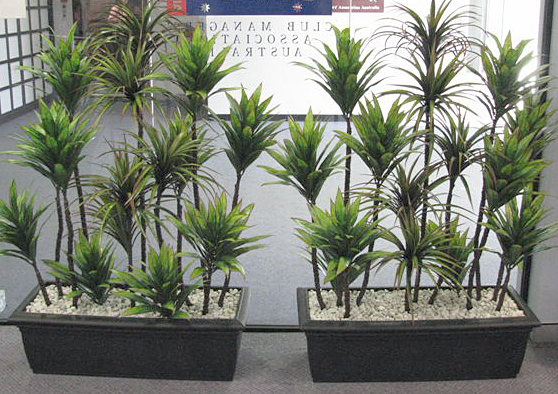 planters
